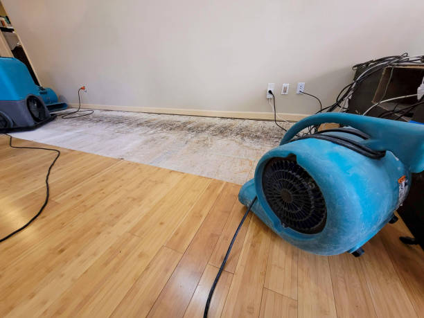 Professional Basement Flood Cleanup technician working in Garrison, UT